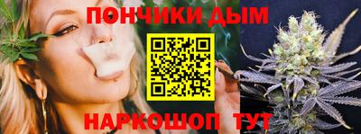 амф Кандалакша