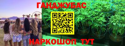 амф Кандалакша