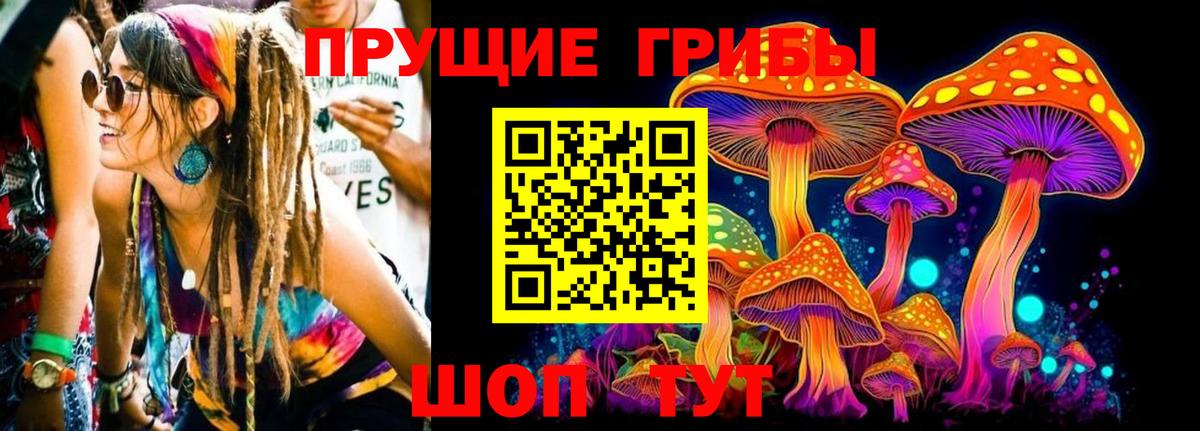 Псилоцибиновые грибы ЛСД  Вход с VPN  Кинешма  Псилоцибиновые грибы мицелий 